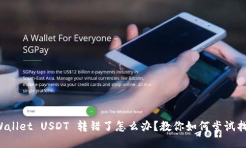 TPWallet USDT 转错了怎么办？教你如何尝试找回！
